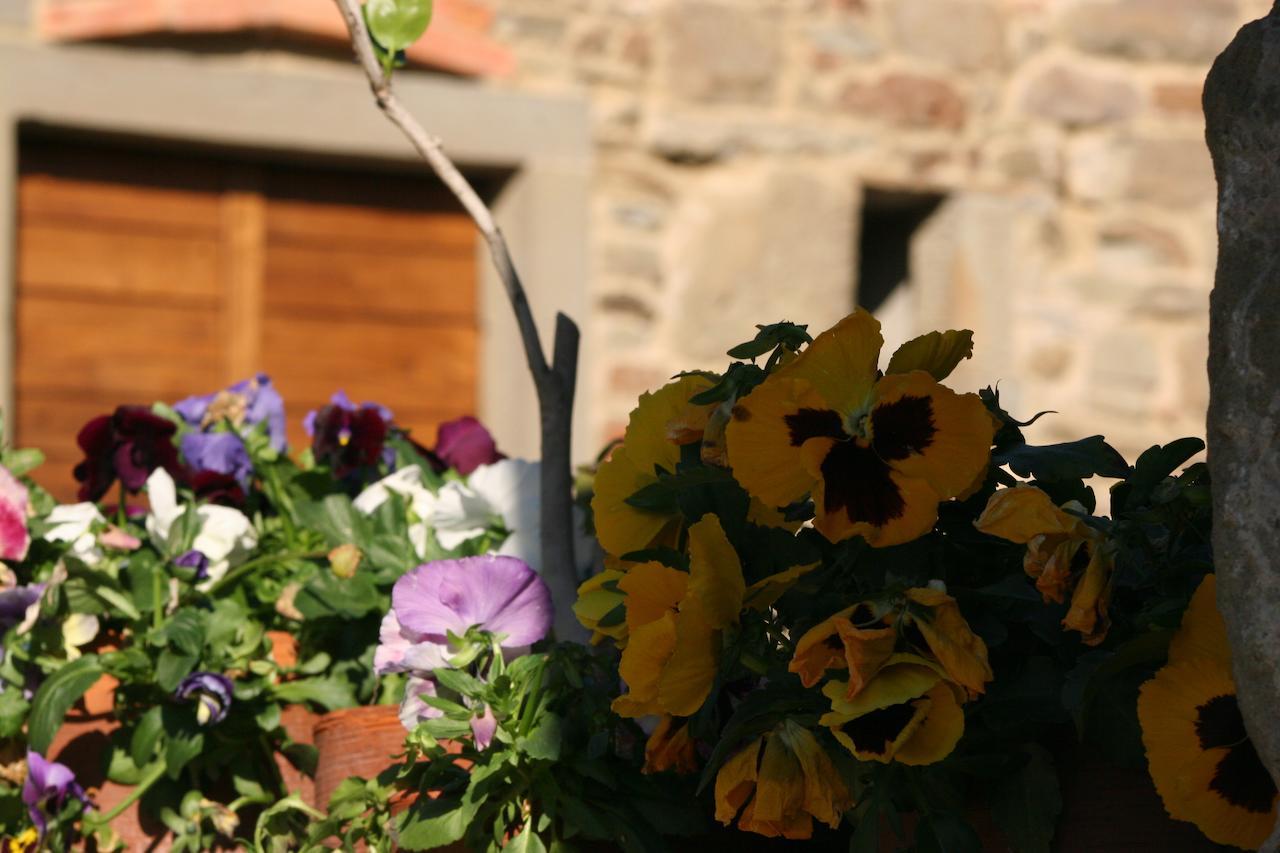 Serravalle Podere Pian De' Cortini别墅 外观 照片