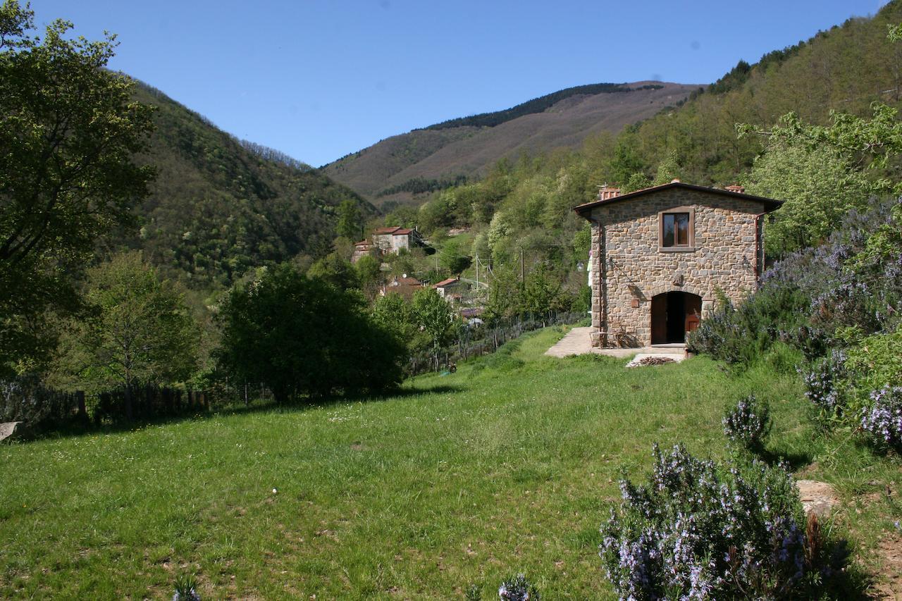 Serravalle Podere Pian De' Cortini别墅 外观 照片