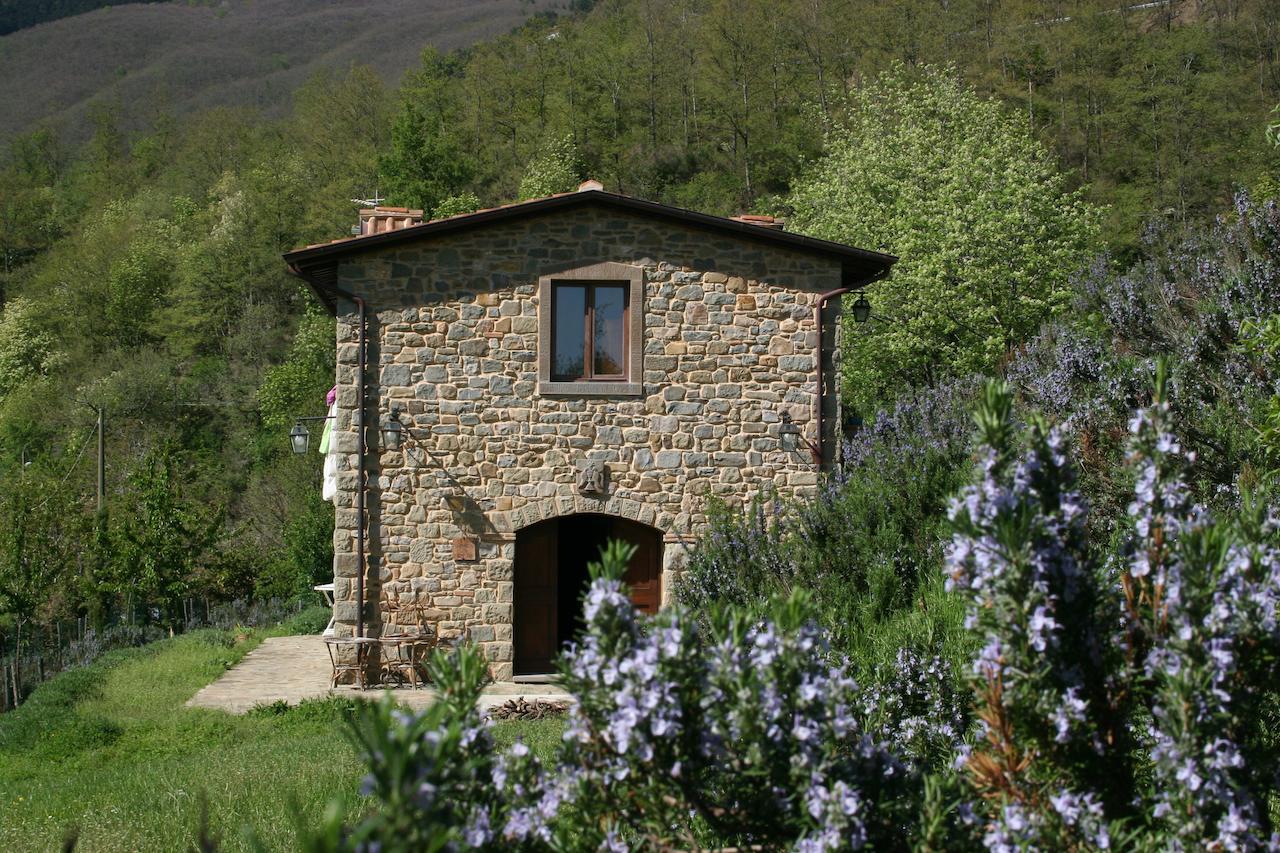 Serravalle Podere Pian De' Cortini别墅 外观 照片